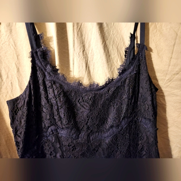 DVF Oliva Rose Lace Dress - Picture 2 of 4